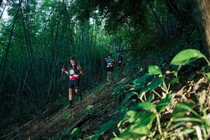 BIB: 
                            <button type="button" onclick="openModal(28123870)" class="btn btn-primary btn-sm float-right btn-popup" data-toggle="modal" data-target=".modal-high-quality">
                        <i class="fas fa-shopping-cart"></i> Add to Cart
                    </button>
                                            <button type="button" onclick="isThisMe(28123870, true)" class="btn btn-success btn-sm float-right btn-popup btn-isme hidden" data-toggle="tooltip" data-placement="bottom" title="นี่คือรูปของคุณใช่ไหม คลิกที่นี่เพื่อเอาเข้าอัลบั้ม">
                        <i class="fas fa-plus"></i> Add to album
                    </button>
                    <button type="button" onclick="isThisMe(28123870, false)" class="btn btn-warning btn-sm float-right btn-popup btn-isnotme hidden">
                        <i class="fas fa-ban"></i> Remove from album
                    </button>